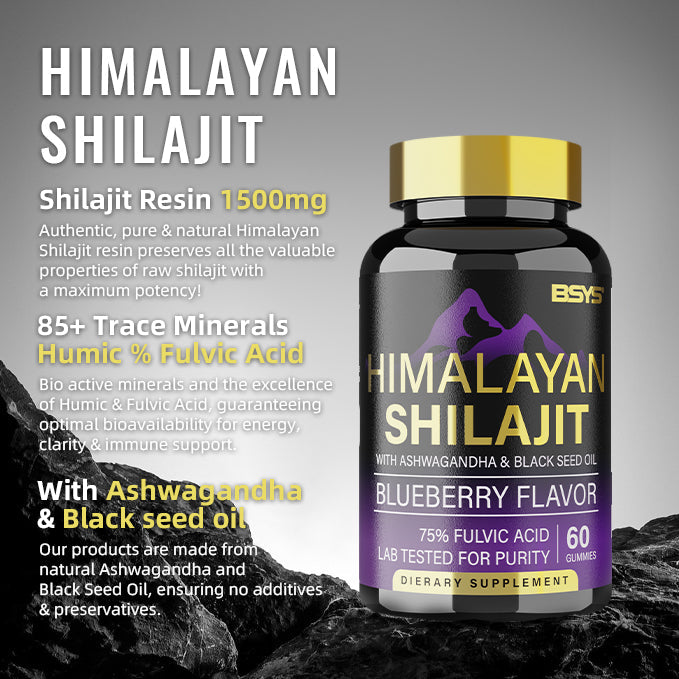 BSYS SHILAJIT GUMMIES 60&