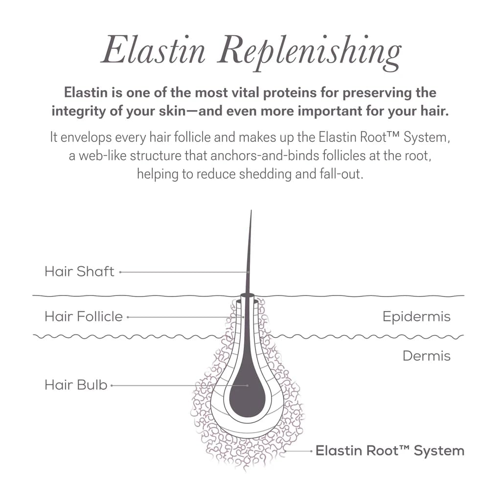 NULASTIN Shape Altering Eyebrow Serum - Brow Serum to Shape &amp; Define - Improves the Appearance of Sparse Eyebrows for a Fuller Look - Enriched with Hair-Strengthening Ingredients (0.1 Fl Oz)