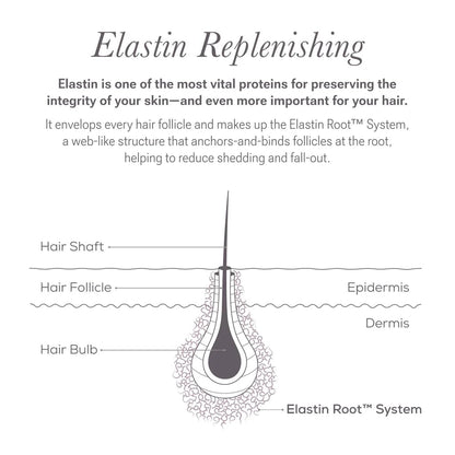 NULASTIN Shape Altering Eyebrow Serum - Brow Serum to Shape &amp; Define - Improves the Appearance of Sparse Eyebrows for a Fuller Look - Enriched with Hair-Strengthening Ingredients (0.1 Fl Oz)
