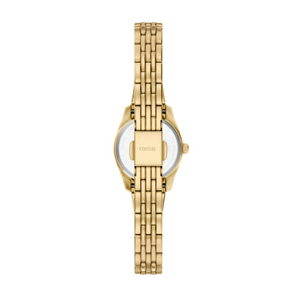 Fossil Women&