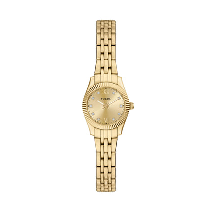 Fossil Women&