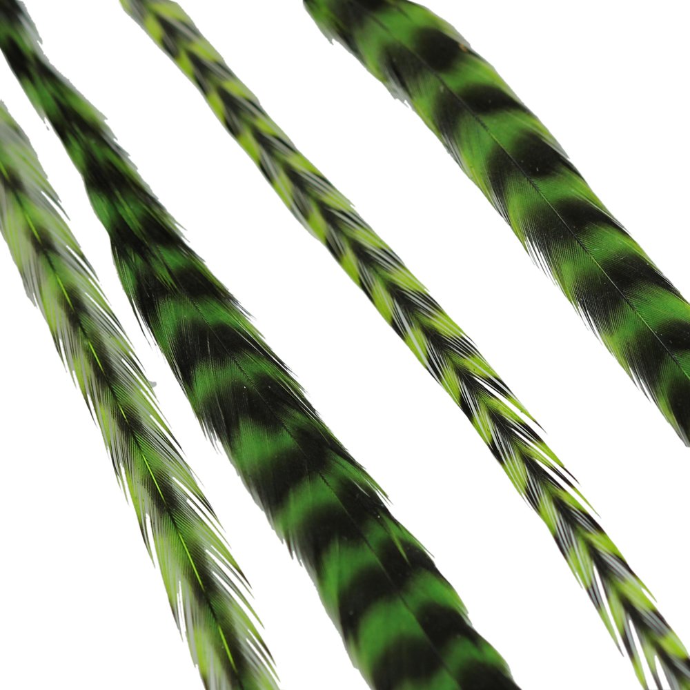 Donna Bella Striped Green Feather Hair Extensions