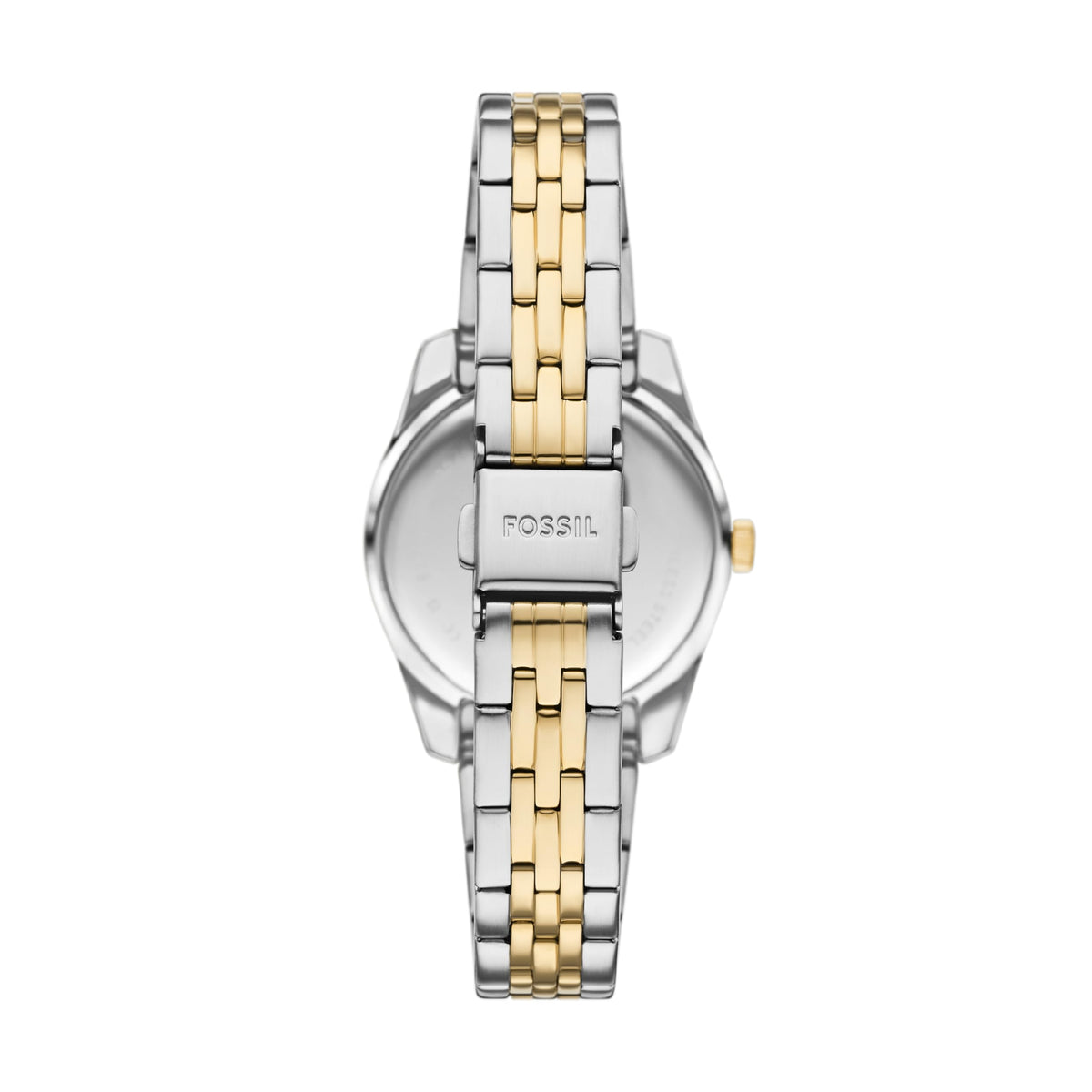 Fossil Women&
