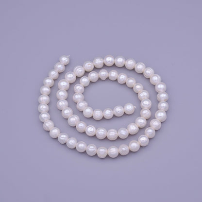 6.2mm AAA Natural White Round Freshwater Pearls 65pcs Full Strand | WA-1319 Clearance Pricing