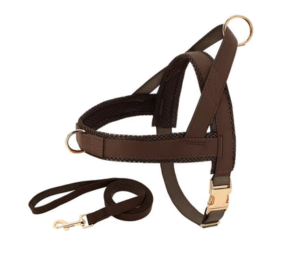 Lettering Large Dog  Vest Chest Harness