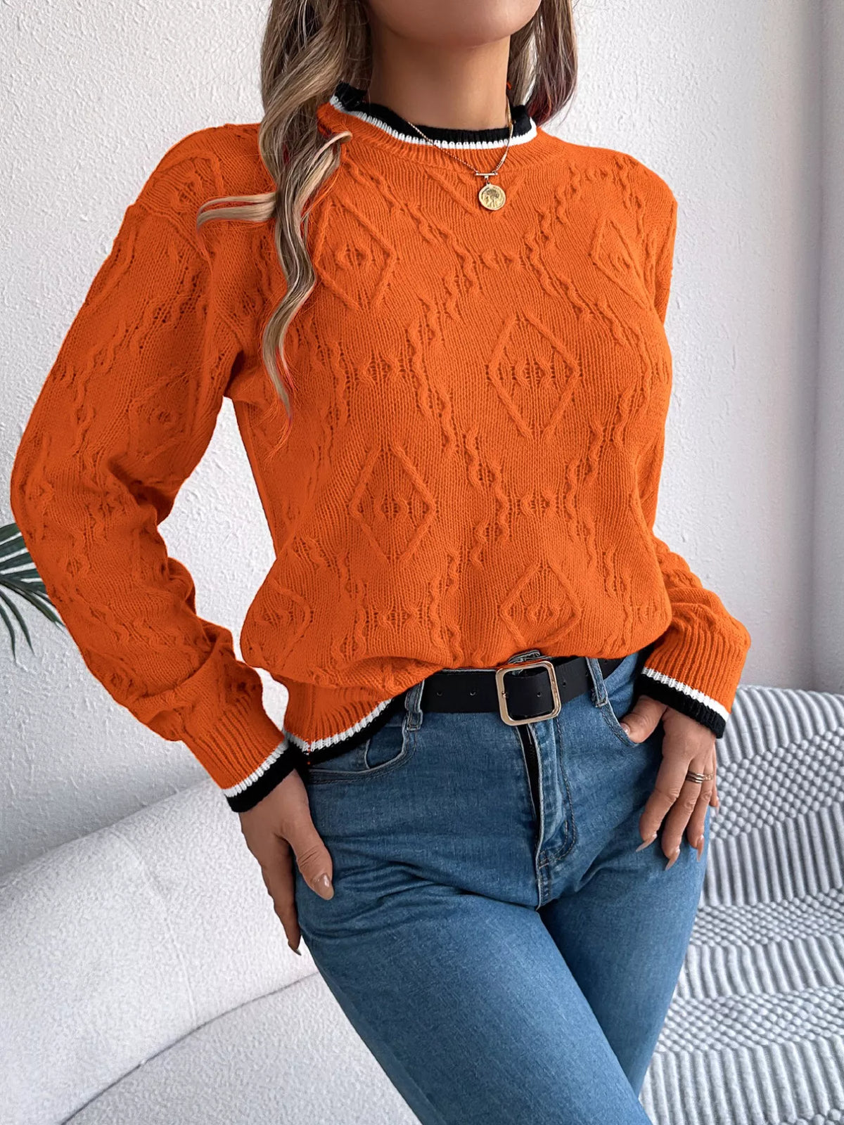 Contrast Trim Round Neck Sweater