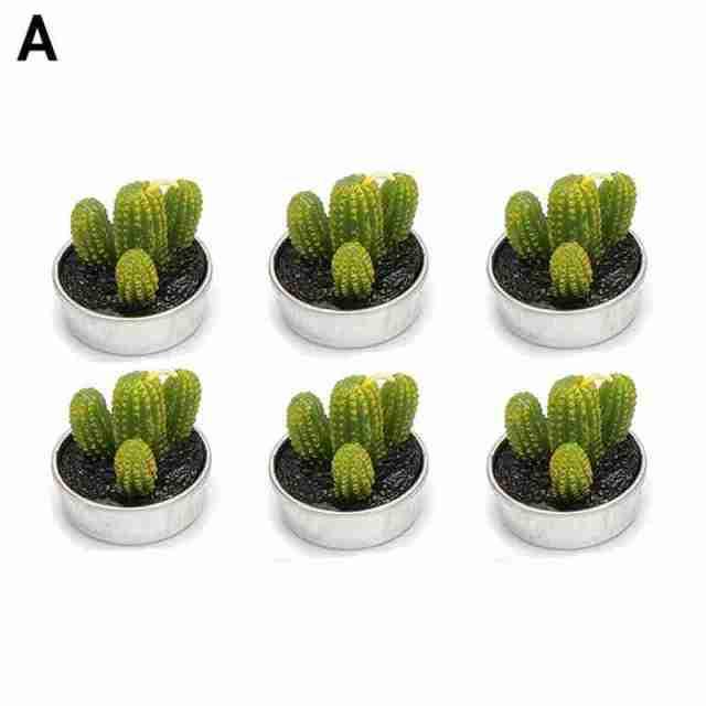 6Pcs Cactus Candle Cube Candle Simulated Plant Set Paraffin Scented 3D Candle Delicate Succulent Cactus Candles for Valentine&