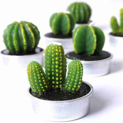 6Pcs Cactus Candle Cube Candle Simulated Plant Set Paraffin Scented 3D Candle Delicate Succulent Cactus Candles for Valentine&