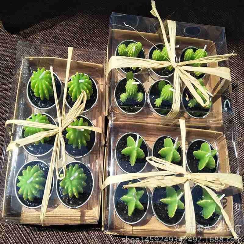 6Pcs Cactus Candle Cube Candle Simulated Plant Set Paraffin Scented 3D Candle Delicate Succulent Cactus Candles for Valentine&