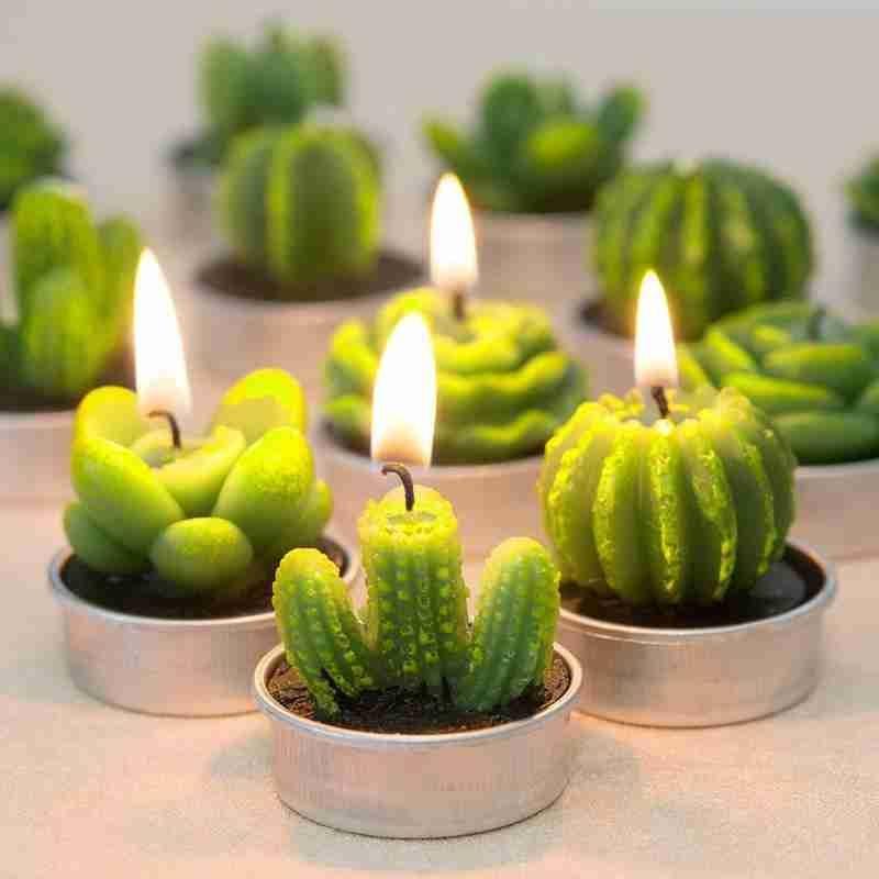 6Pcs Cactus Candle Cube Candle Simulated Plant Set Paraffin Scented 3D Candle Delicate Succulent Cactus Candles for Valentine&