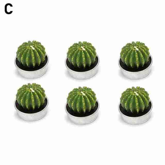 6Pcs Cactus Candle Cube Candle Simulated Plant Set Paraffin Scented 3D Candle Delicate Succulent Cactus Candles for Valentine&