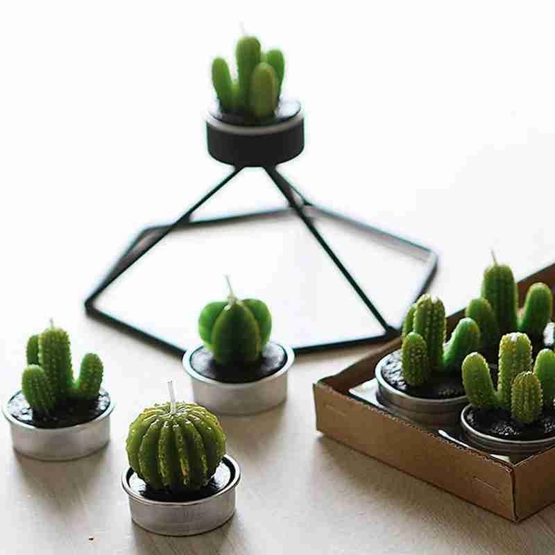 6Pcs Cactus Candle Cube Candle Simulated Plant Set Paraffin Scented 3D Candle Delicate Succulent Cactus Candles for Valentine&