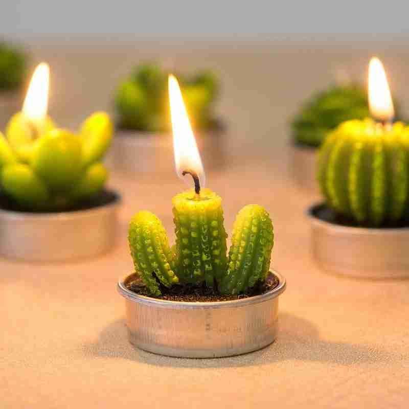 6Pcs Cactus Candle Cube Candle Simulated Plant Set Paraffin Scented 3D Candle Delicate Succulent Cactus Candles for Valentine&