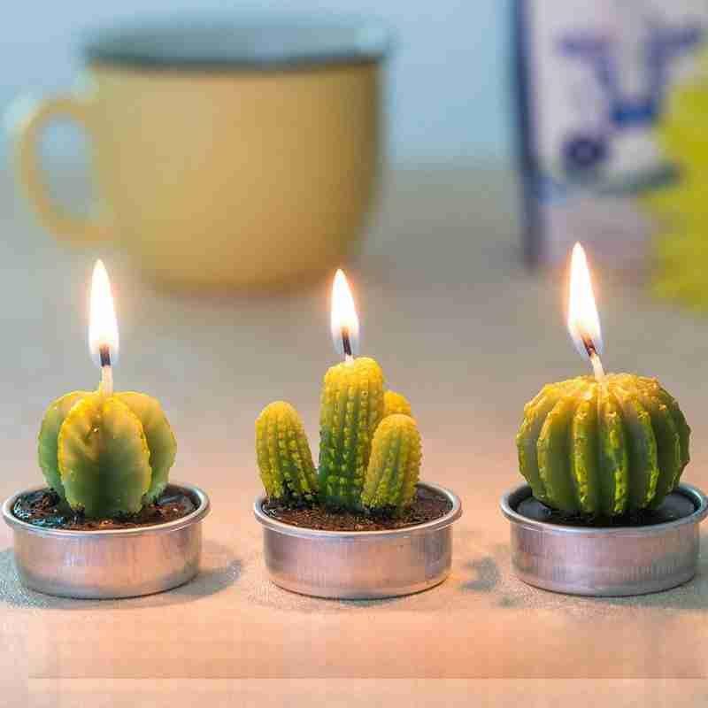 6Pcs Cactus Candle Cube Candle Simulated Plant Set Paraffin Scented 3D Candle Delicate Succulent Cactus Candles for Valentine&