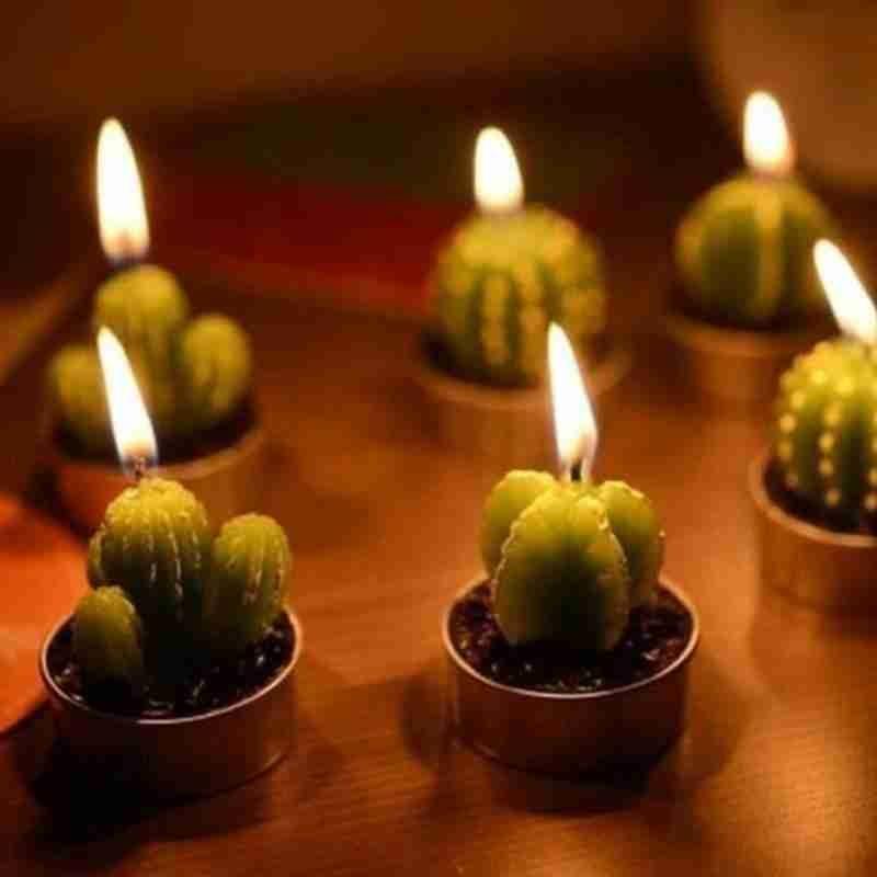 6Pcs Cactus Candle Cube Candle Simulated Plant Set Paraffin Scented 3D Candle Delicate Succulent Cactus Candles for Valentine&