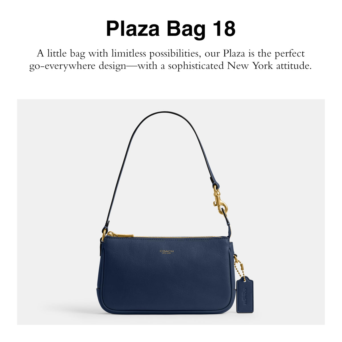 Coach Women’s Plaza Bag 18
