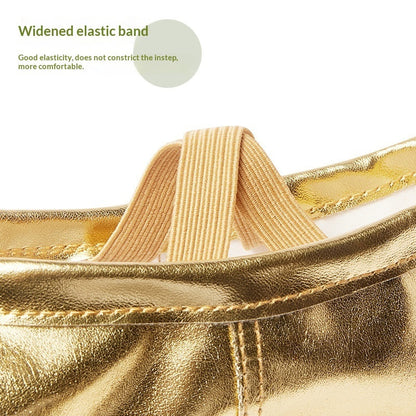 Soft-soled Practice PU Leather Cat-claw Gold And Silver Dance Shoes