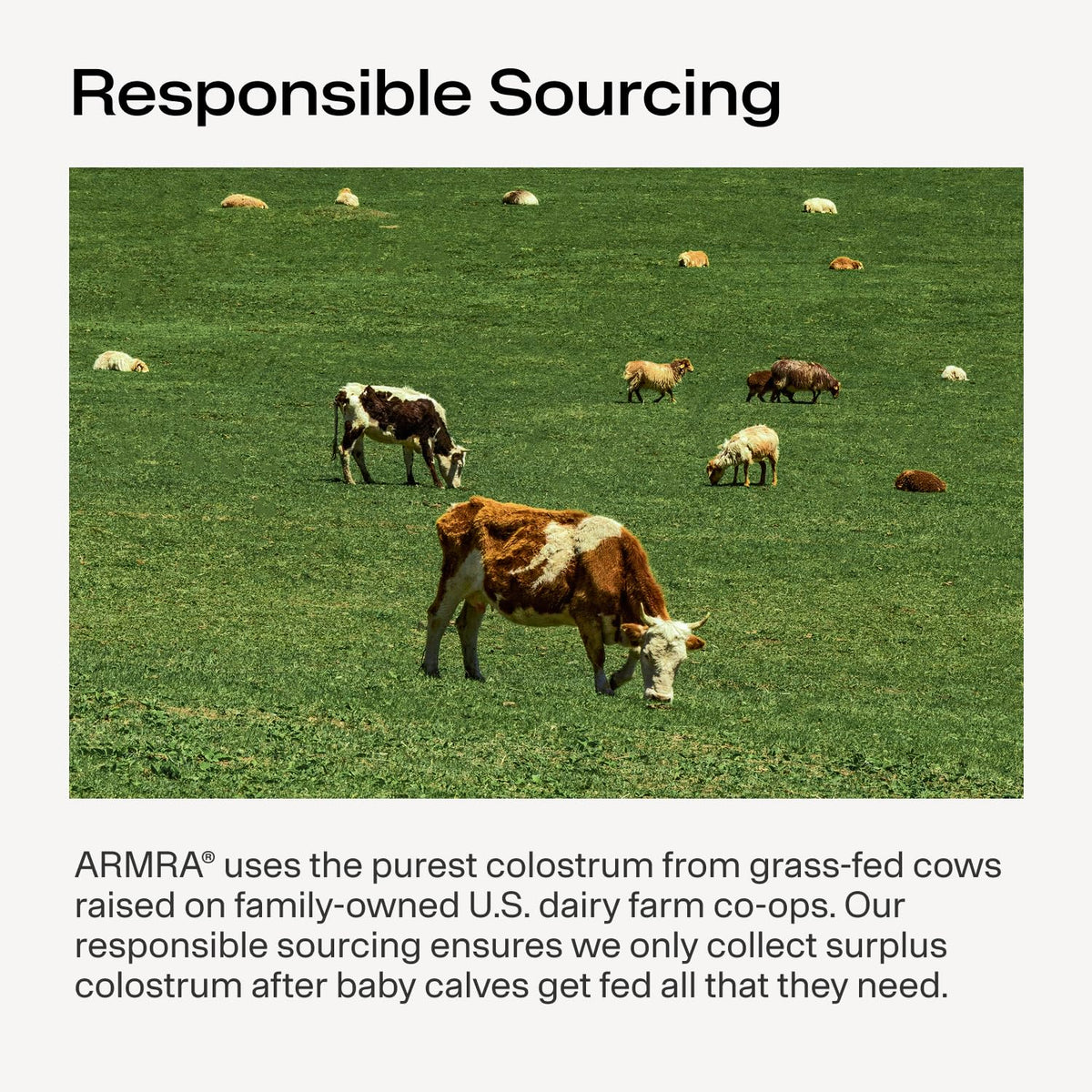 ARMRA Colostrum™ Powder | Blood Orange | Gut Health &amp; Bloating | Skin &amp; Hair | Immunity | Keto, Gluten &amp; Fat-Free | 30 Servings