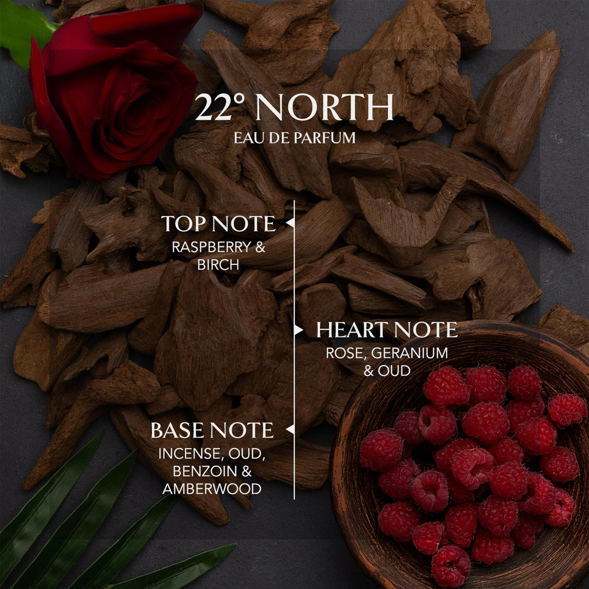 EMBAROUGE 22° North Eau De Parfum | Long Lasting Luxury Perfume for Men &amp; Women | Inspired by French Perfumery | 100ml