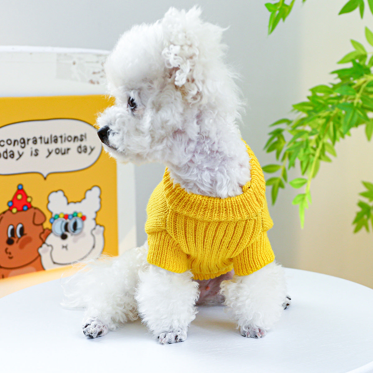 Pet Ring Dog Clothes Warm, Comfortable And Cute