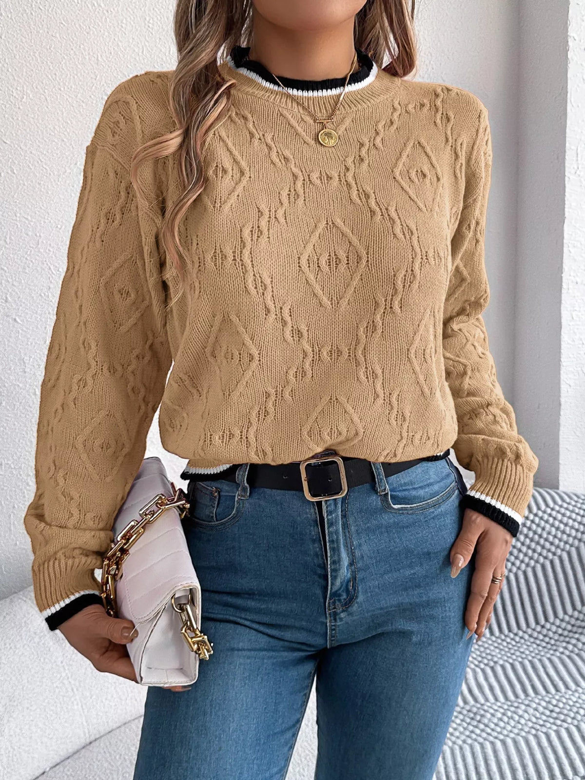 Contrast Trim Round Neck Sweater