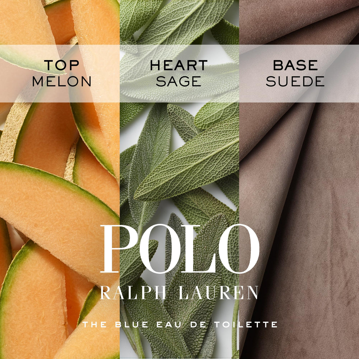 RALPH LAUREN FRAGRANCES - Polo Blue - Eau de Toilette - Men&