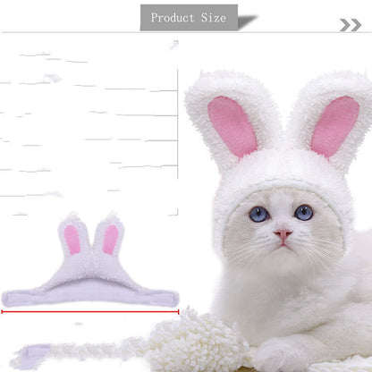 Lion Turns Into Halloween Ghost Pet