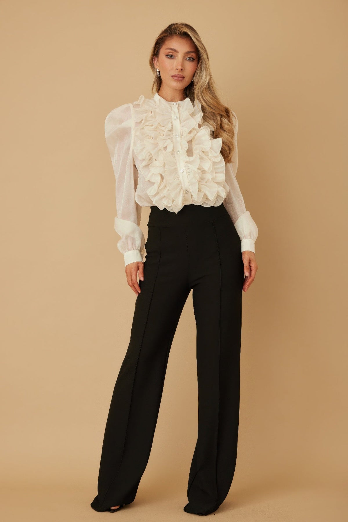 Ruffle Micro Crystal Long Sleeve Blouse