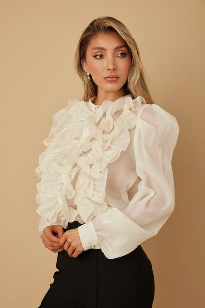 Ruffle Micro Crystal Long Sleeve Blouse