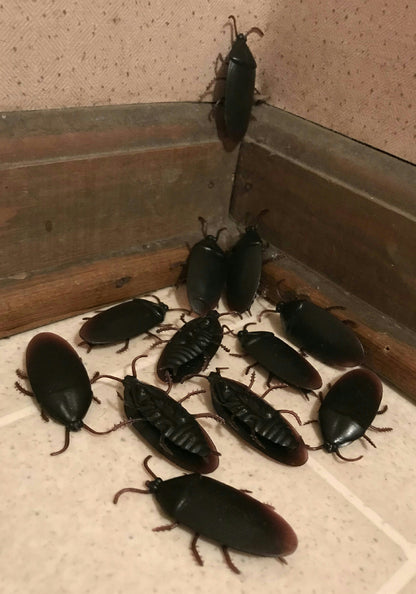 12 Fake Cockroaches Realistic Rubber Roach Gag Joke Prank