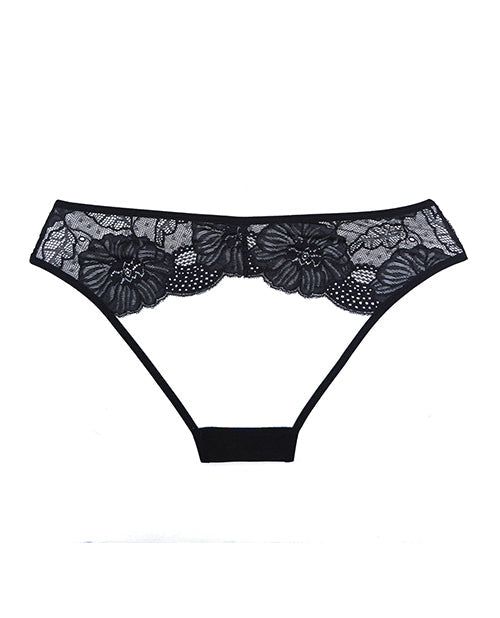 Adore Kiss Mesh &amp; Lace Open Panty Black O/S
