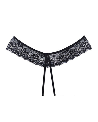 Adore Foreplay Lace &amp; Mesh Front Open Panty Black O/S