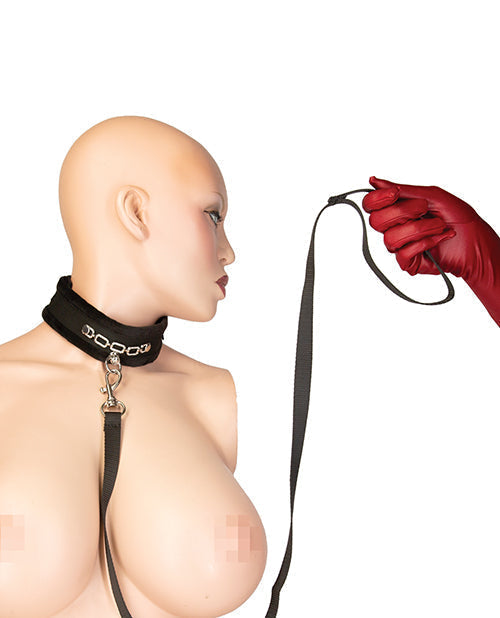 Punishment Crystal Detail Collar &amp; 37" Leash