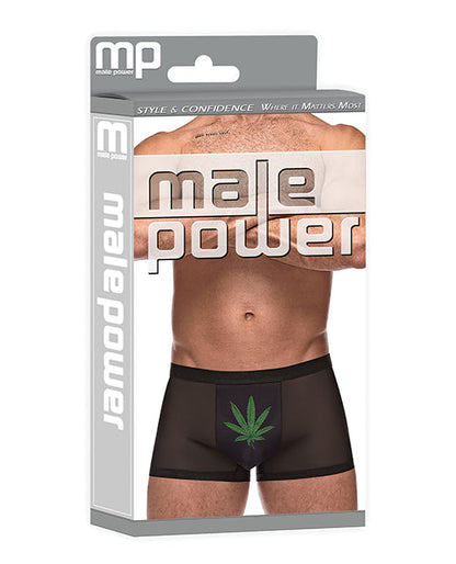 Private Screening Micro Mesh &amp; Modal Pot Leaf Black MD
