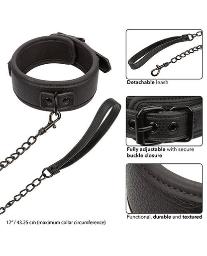 Nocturnal Collection Detachable Collar &amp; Leash - Black