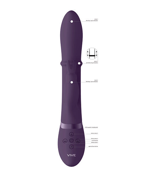 Shots Rabbit Vibrator | Halo Up &amp; Down Ring G-Spot Vibrator | Vive Purple Clit Vibrator | Best Vibrator for Women