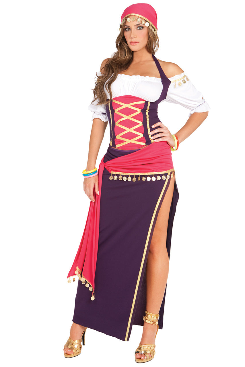 Frisky Fortune Teller Costume