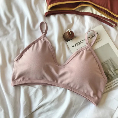 Women Wireless Bra Comfort Cotton Fabric Padded Bras Sexy Lingerie Small Cup Tube Top Removable Pads Brassiere One Size