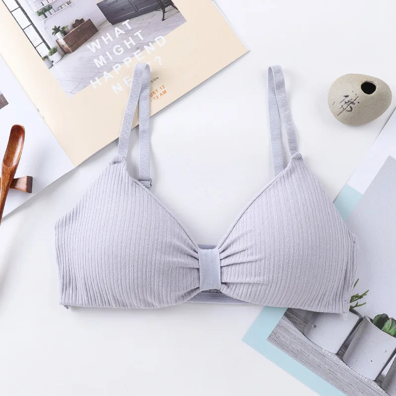 Wire Free Bras For Women Push-Up Bra Sexy Lingerie Padded Bra Top Seamless Underwear Solid Color Brassiere Intimates