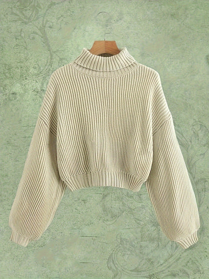 Turtle Neck Elegant Long Sleeve Sweater