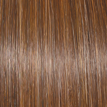 Raquel Welch Go to Style Wig New With Tags