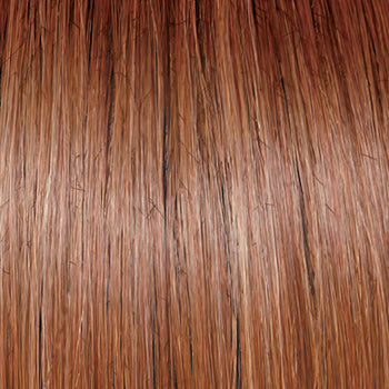 Raquel Welch Go to Style Wig New With Tags