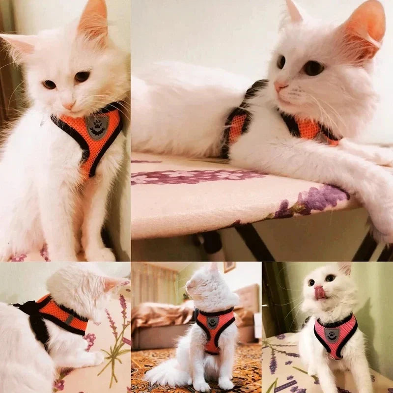 Adjustable Mesh Pet Harness with Leash, Polyester Vest Type Walking Strap for Small Medium Cats Dogs