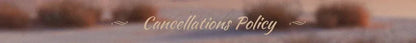 Customized V-Neck Shiny Off The Shoulder Appliques Wedding Dress 2025 Ball Gown Floor Length Sweep Train Lace Up Bridal Gown