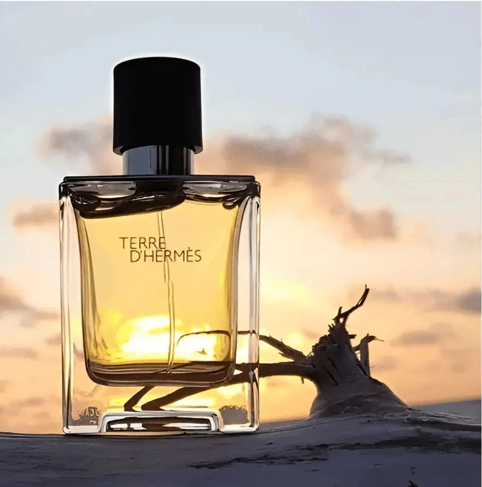 Terre D&