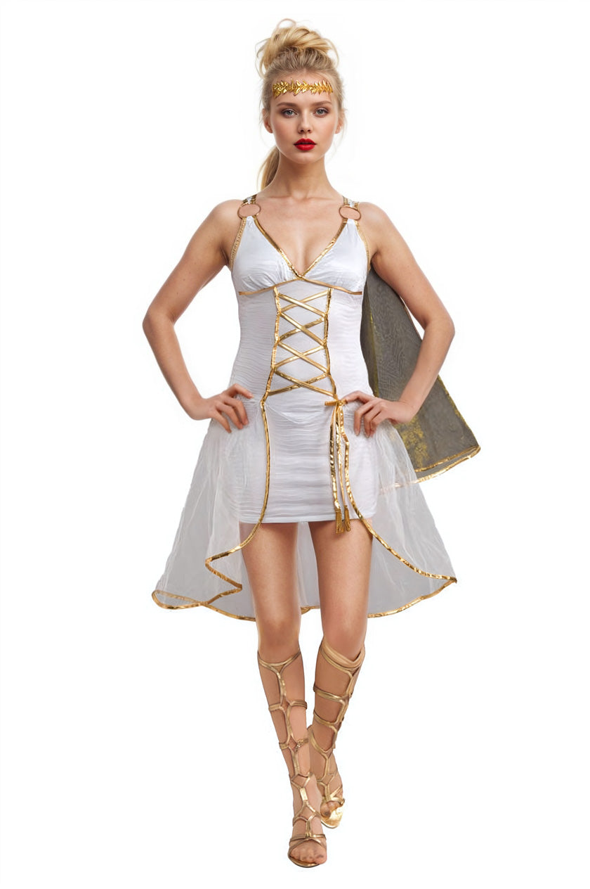 Grecian Goddess Costume