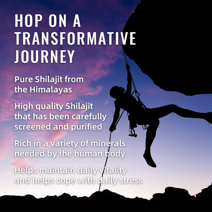BSYS SHILAJIT GUMMIES 60&