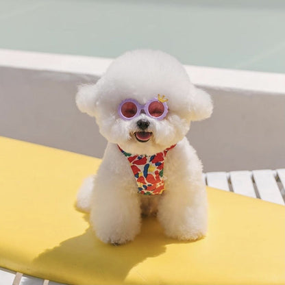 Dog Cat Cute Sunglasses Jewelry Photo
