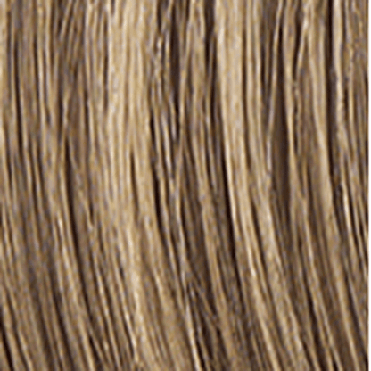 BEGUILE - Wig by Raquel Welch 100% Human Hair