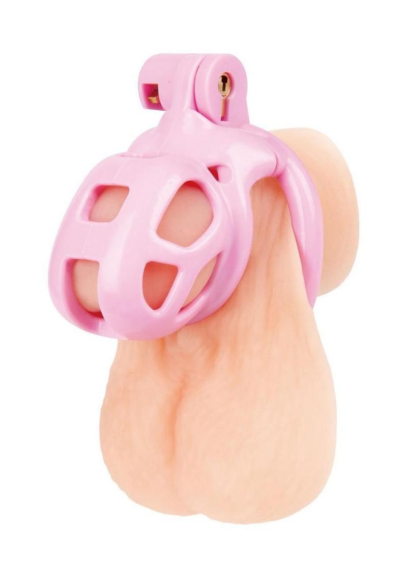 Small Humiliation Acrylic Prisoner Cock Cage